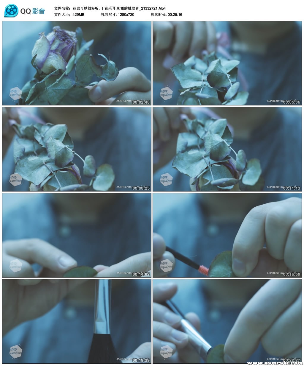 花也可以很好听, 干花采耳,刺激的触发音 助眠减压ASMR插图(1) 花也可以很好听, 干花采耳,刺激的触发音 助眠减压ASMR插图(1)