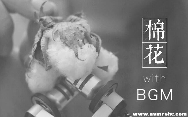 BGM版,真·棉花采耳,耳搔(无人声)助眠减压ASMR插图 BGM版,真·棉花采耳,耳搔(无人声)助眠减压ASMR插图