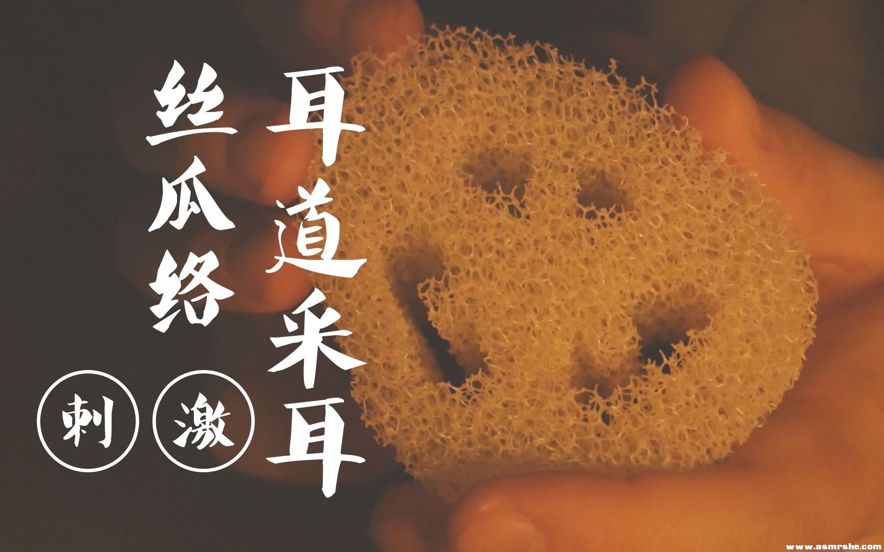 【CZ ASMR】丝瓜络耳道深入,刺激的采耳,硅胶刷+鹅毛棒+吹气+揉捏（无人声） ...-助眠音声网
