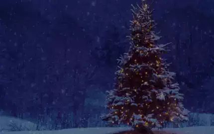 ASMR-Never-ending-X-MAS-助眠音声网