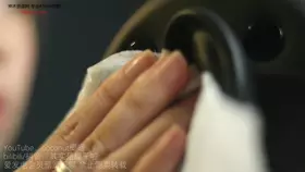 其实是椰子啦_N_双耳普通天鹅-助眠音声网