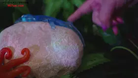yoonying_触手岛冒险角色扮演_触手岛冒险角色扮演-助眠音声网