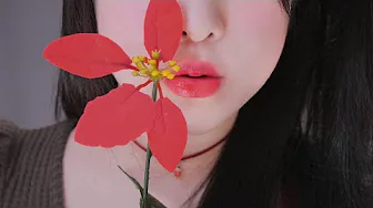 ASMR玫瑰是红色的（红色触发器与我的灵魂，嘴巴，红色符号）-助眠音声网